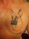 dog head tats on chest